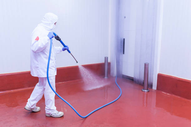 Best Residential Pressure Washing in Savannah, TX