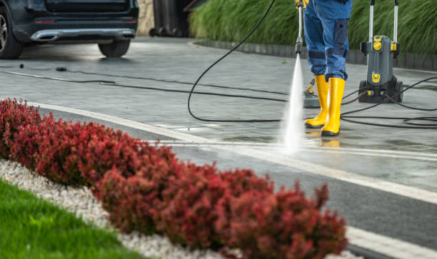 Best Soft Washing for Delicate Surfaces in Savannah, TX